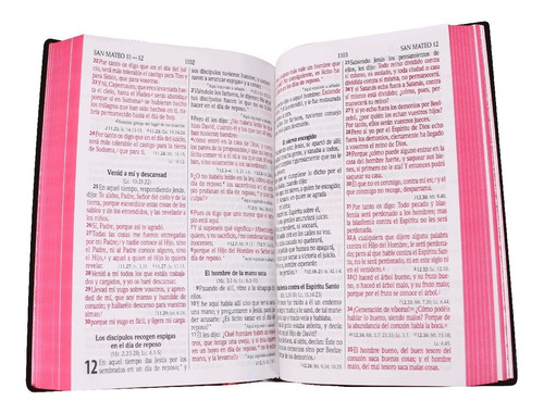 Imagen 5 de 5 de Biblia Rvr1960 Letra Grande Pasta Vinil Color Negro