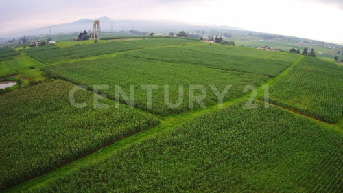 Terreno En Venta En San Miguel Almoloyan, Almoloya De Juárez, Estado De México