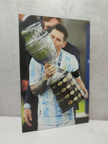 Copa America Cuadro 27x42 Lionel Messi Futbol Argentino