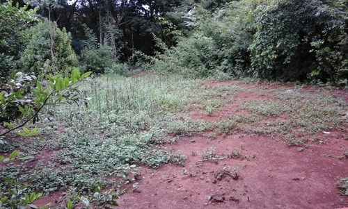 Terreno / Área Com 3 Quartos Para Comprar No Zona Rural Em Jaboticatubas/mg - 2806