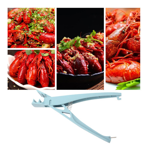 3 Manual De Herramientas Para Mariscos, Elimina Fácilmente