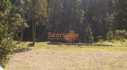 Imagem 3 de 3 de Chácara À Venda, Jardim Petrópolis, Itapecerica Da Serra/sp - 2152