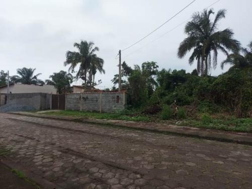 Imagem 3 de 7 de Lote No Jardim Palmeiras Em Rua Asfaltada 332²