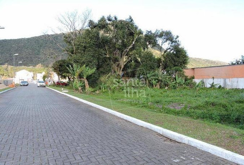 Terreno À Venda, 637 M² Por R$ 585.000,00 - Armação - Florianópolis/sc - Te0910