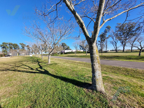 Terreno En Venta Los Palenques