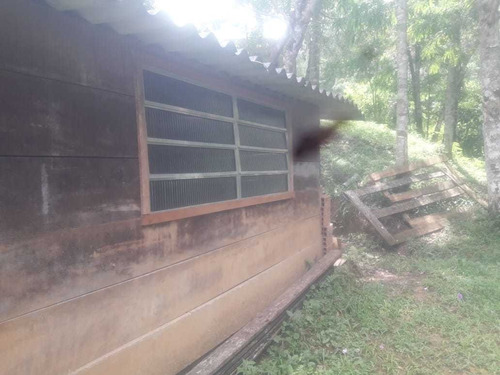 Molezinha Chacara 3.700m2, Com Casa Modesda