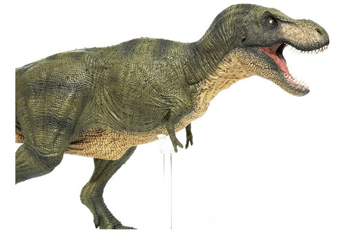 Rebor Grab N Go 04 Sa T-rex Tyrannosaurus Rex (type C)