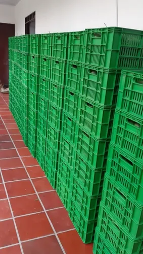 Excelente Finca Productora De Aguacate