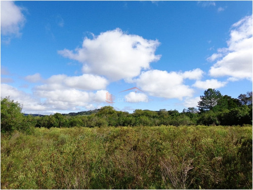 Chacra En Venta En Uruguay, Punta Del Este, Ruta 12, Las Vertientes- Ref: 21442