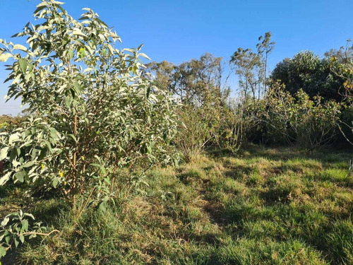 Terreno En Venta En Las Ánimas, Naucalpan De Juárez