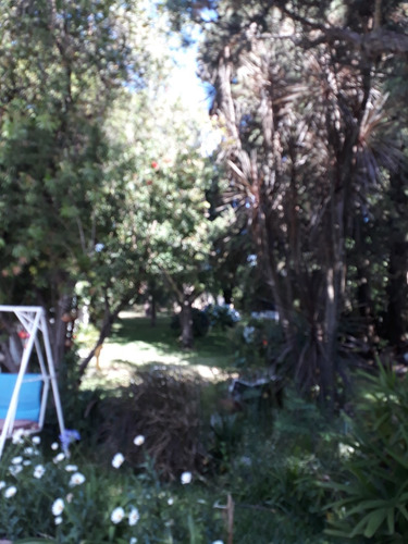 Imagen 5 de 14 de Casa Quinta O Vivienda Permanente Muy Buena Zona C/vecindad