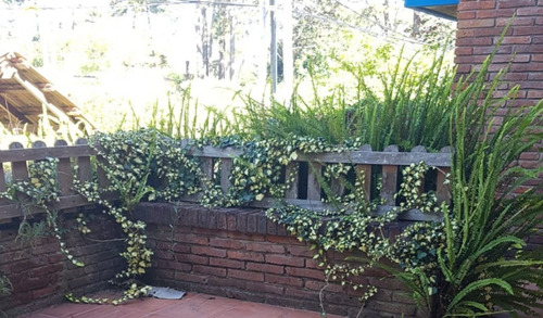 Imagen 4 de 22 de Casa En Venta Altos De Pinares, Punta Del Este - Punta Del Este Pinares