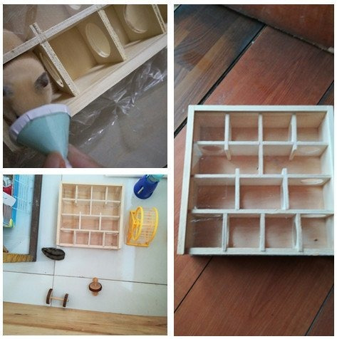 Imagen 7 de 9 de De Túnel De Laberinto De Madera Con Cubierta De Vidr...