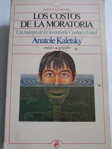 Los Costos De La Moratoria (Usado)