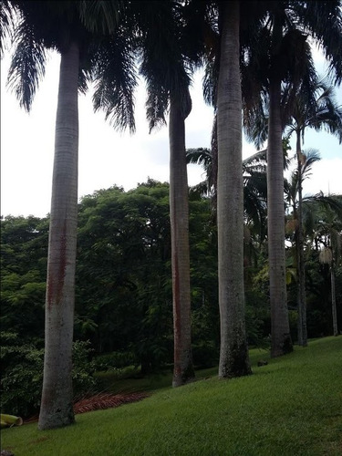 Casa Com 6 Dormitórios À Venda, 700 M² Por R$ 5.000.000,00 - Condomínio Village Sans Souci - Valinhos/sp - Ca2277