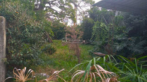Imagen 4 de 7 de Casa En Venta En San Antonio De Padua