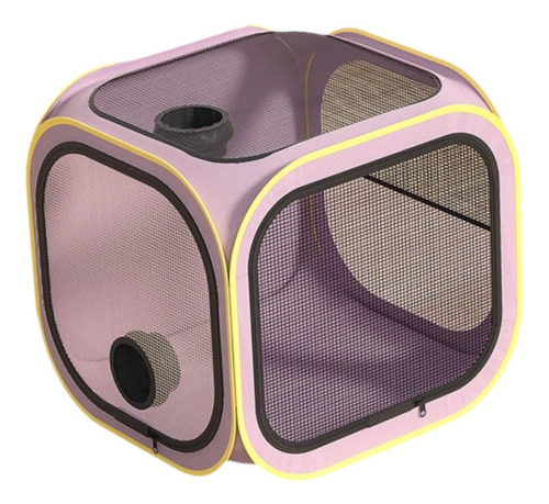 Secador De Pelo Para Perros Y Gatos, Habitación Limpia Y De