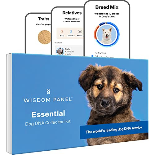 Wisdom Panel Essential: Most Accurate Dog Dna Test Kit ...