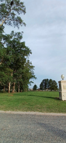 Lote Terreno En Venta Barrio Lago San Eliseo