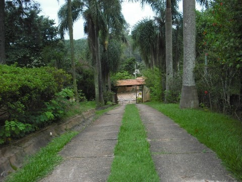 Rural - Venda - Santa Gertrudes - Cod. 81 - V81