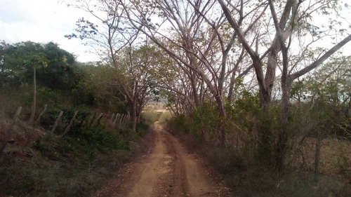 Imagen 29 de 30 de Finca En Mirimire Estado Falcon De 941 Hectáreas