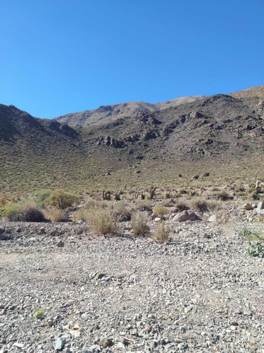 Venta Sitio En Vicuña Valle De Elqui