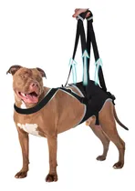 Comprar Arnés De Soporte Para Perros, Ayuda Para Patas Traseras, Med
