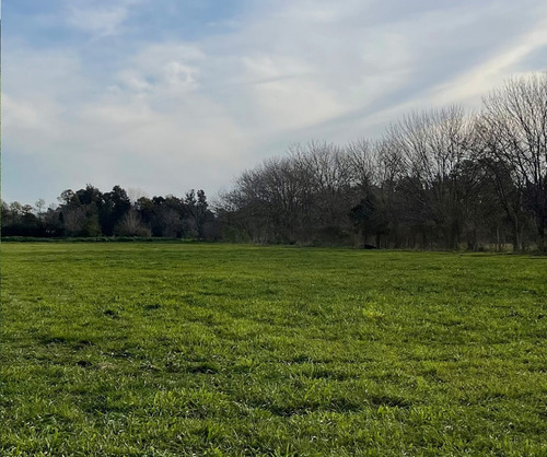 Lotes En Venta - Barrio Santa Maria I - Villa Astolfi, Pilar