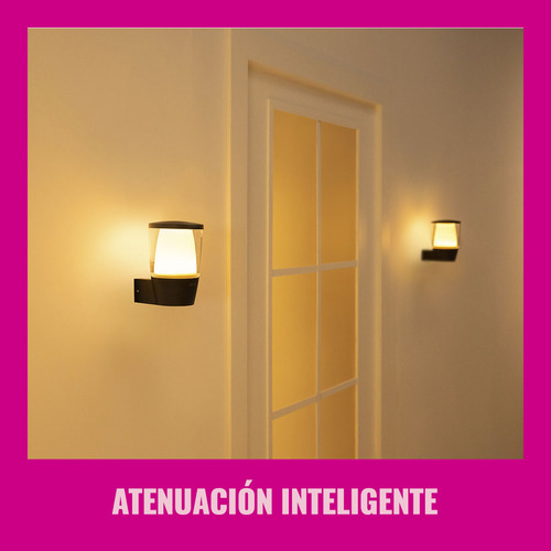 Wiz 929003247606 Para Exteriores Multicolor