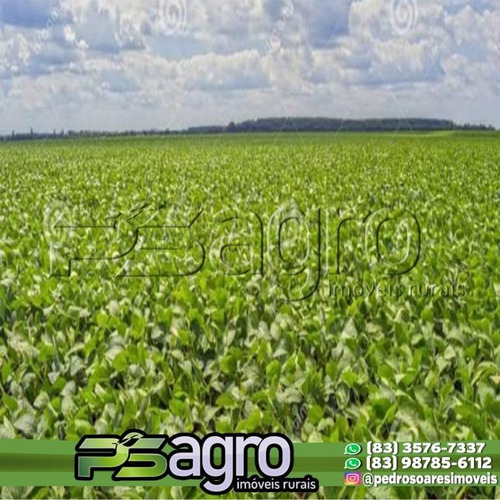 Imagem 11 de 11 de Fazenda À Venda, 30000000 M² Por R$ 45.000.000,00 - Zona Rural - São Felix Do Araguaia/mt - Fa0186
