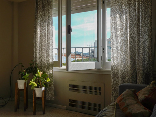 Imagen 7 de 15 de Departamento En Venta 3 Ambientes Con Ascensor. Zona Centro. Tandil