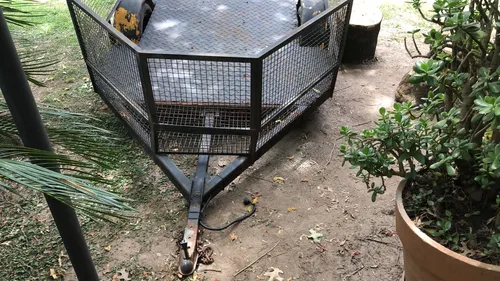 Trailer 1 Eje Estructura Super Reforzada Motos Cuatris Utv