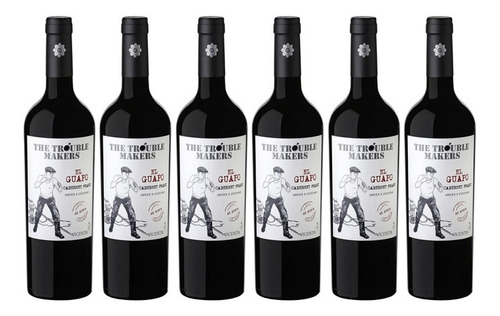 Vino Vicentin Guapo Cabernet Franc X750cc Caja X6