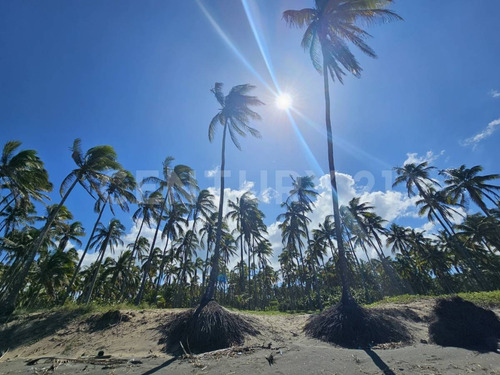 Terreno En Golfo De México, Playa Sol R/a Las Flores, Paraíso Tabasco
