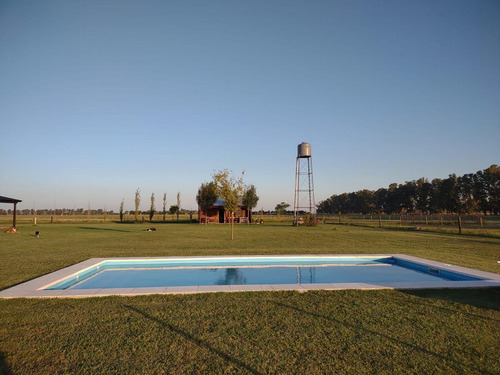 Imagen 3 de 21 de Chacra En Venta- Lobos