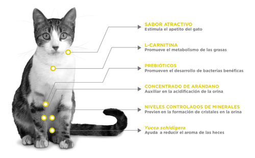 Nupec Alimento Seco Urinary Management Gato 1.5kg