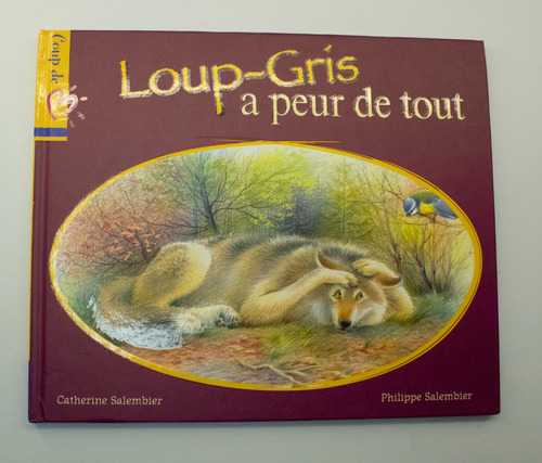 Loup-grís A Peur De Tout Livro Infantil Francês Capa Dura
