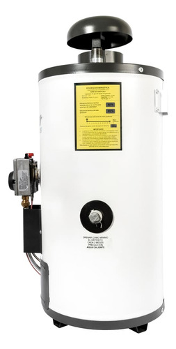 Calentador De Agua A Gas Iusa Primo Plus R06 Nat Blanco