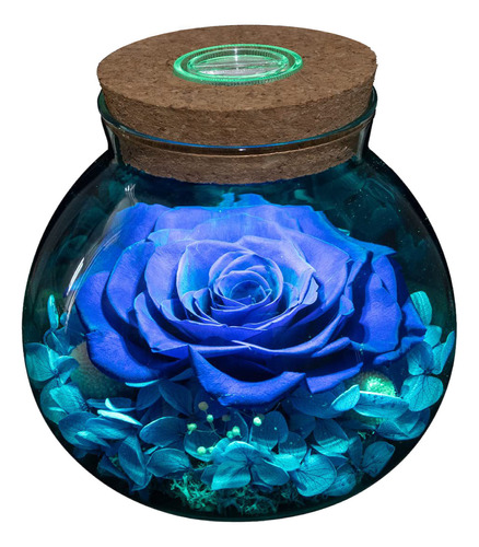 Botella De Deseos Con Luz Led Eternal Rose Eternal Rose Neve