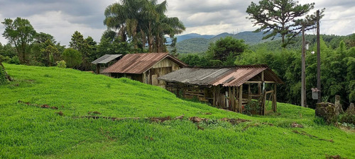 Imagem 12 de 15 de Chácara Para Venda Em São José Dos Pinhais, Área Rural De São José Dos Pinhais - Cha6607_1-2422868