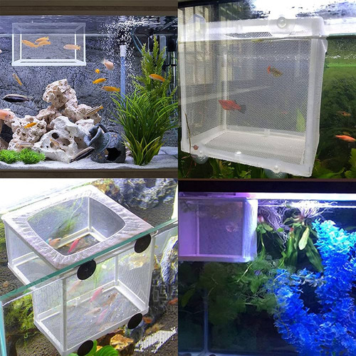 Paridera Maternidad Separador Para Alevines De Peces Acuario