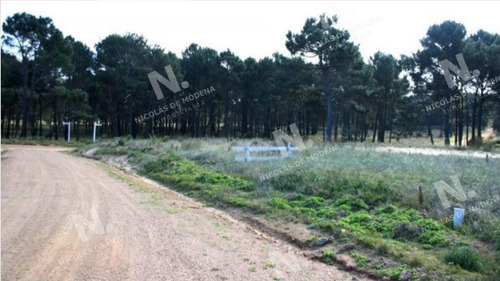Imagen 4 de 4 de Venta De Terreno En Barra Verde, La Barra - La Barra Barra Verde