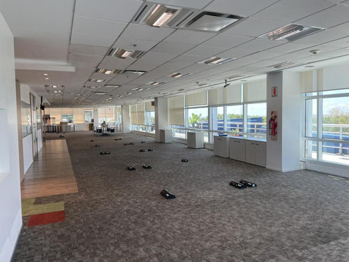 Oficinas En Alquiler | Colonos Plaza, Juana Manso 305-355, Puerto Madero, Caba | 1.461 M²
