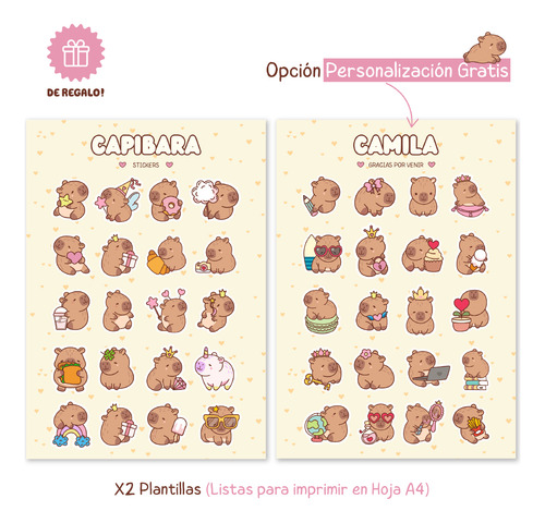 Kit Librito Para Pintar Capibara/carpincho
