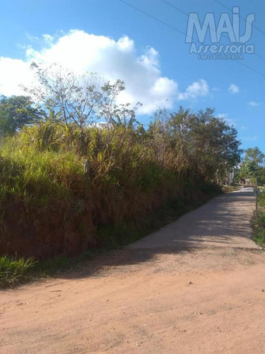 Imagem 8 de 15 de Chácara Para Venda Em Novo Hamburgo, Lomba Grande, 3 Dormitórios, 1 Banheiro - Cwvcr022_2-1067650