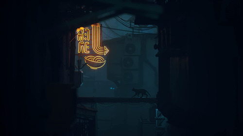 Stray - Playstation 4, FĂsica