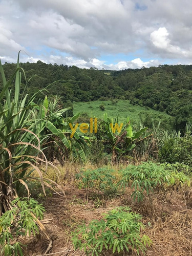 Imagem 7 de 18 de Terreno - Jardim Aracy - Te-1614
