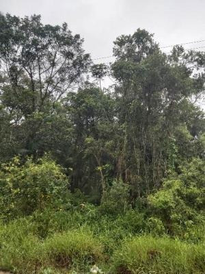 Imagem 6 de 8 de 7010 Kym - Terreno De Chácara - Parque Real- 4.000 M².