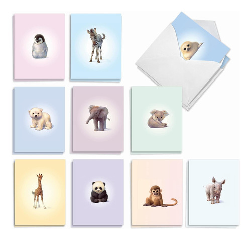 The Best Card Company Juego De 20 Tarjetas De Notas Surtidas