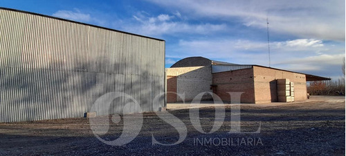 Imagen 24 de 30 de Galpón 1500 M2 En Allen